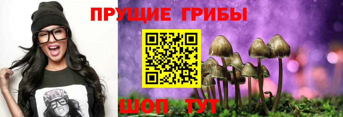 как найти закладки  Псилоцибиновые грибы Magic Shrooms  Вход с VPN  Галлюциногенные грибы Psilocybe  Прокопьевск 